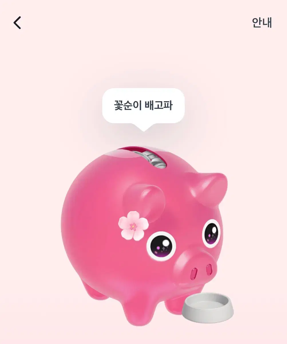 토스 꽃돼지